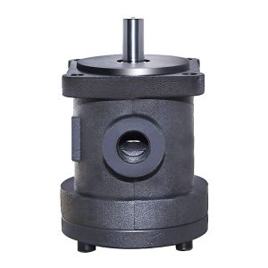 bombas de palhetas de cilindrada fixa